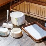 ペット客室 半露天風呂付 3